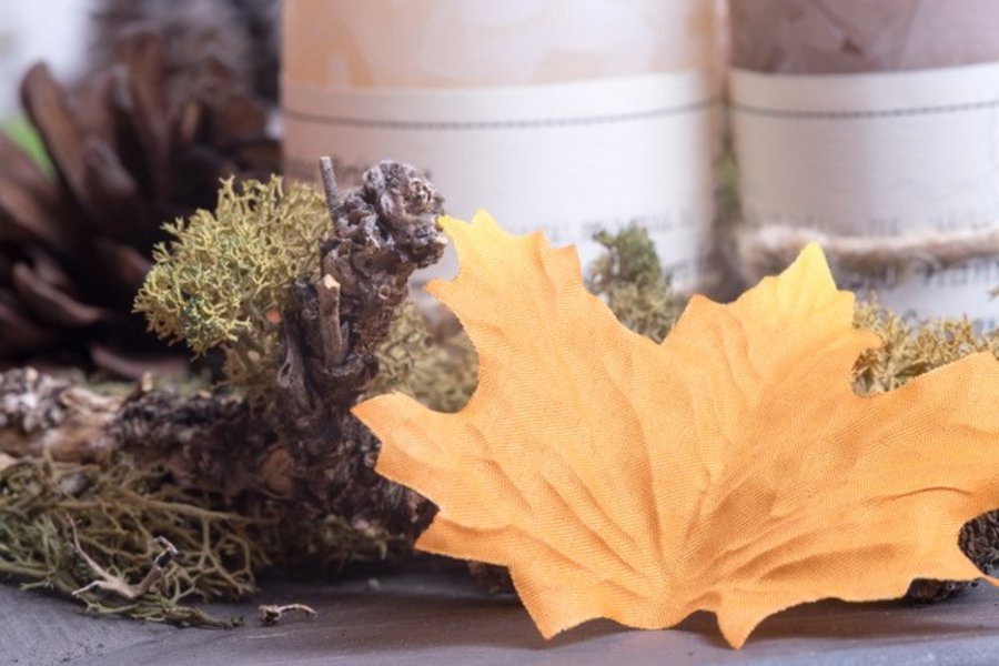 Aangepaste foto header herfstblad.jpg